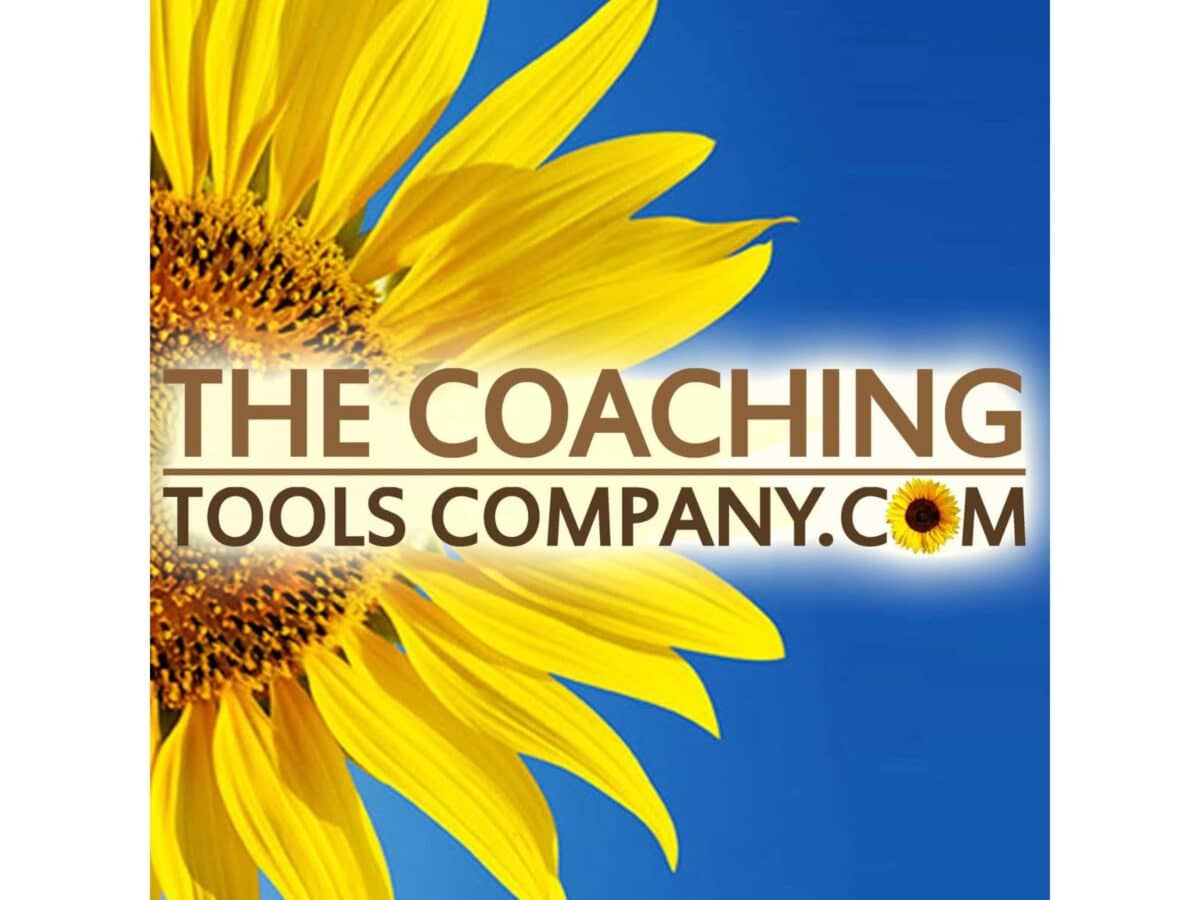 The Coaching Tools Company full color logo.